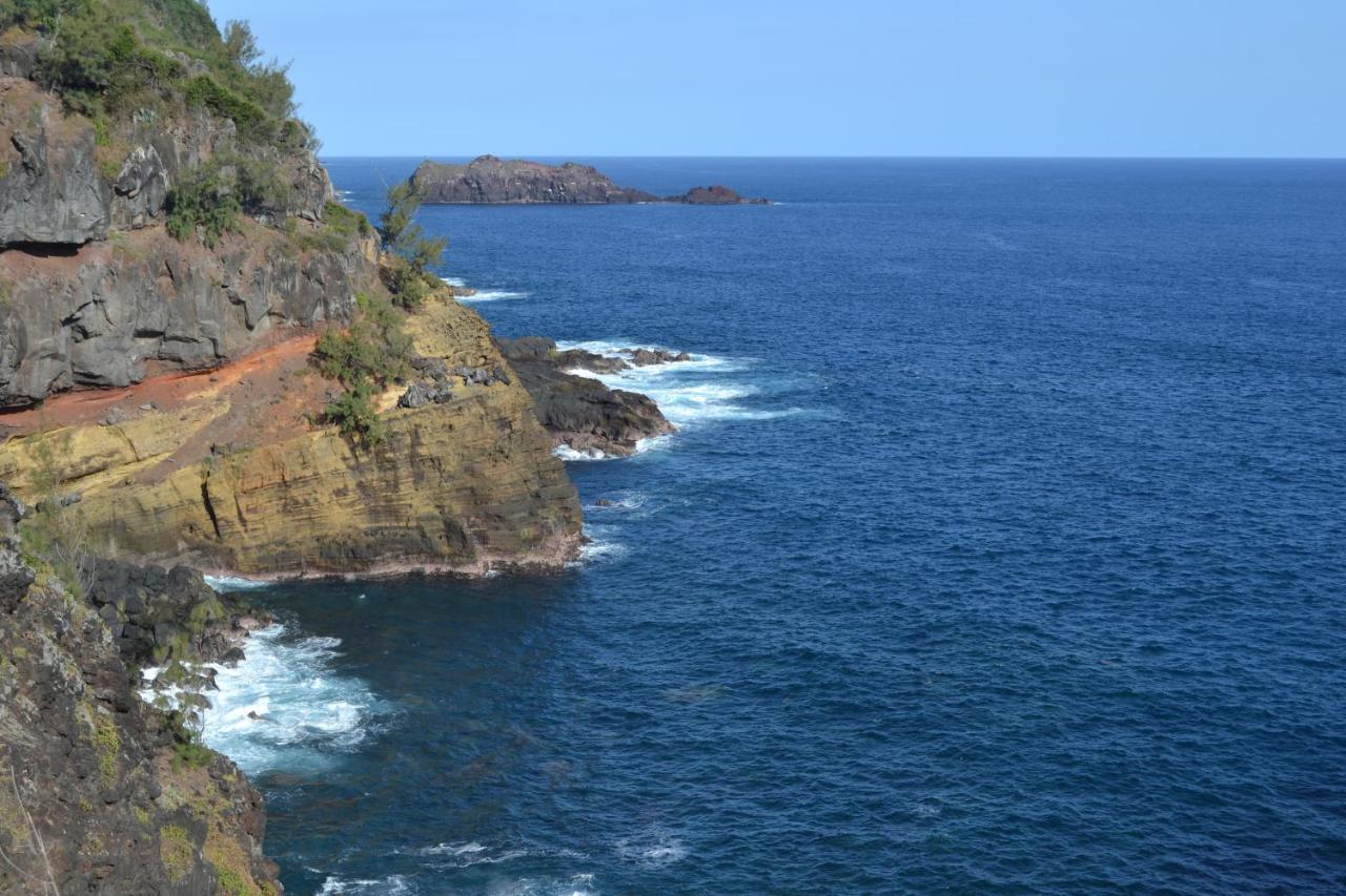 Villa Atypique Le Chat Perche De Grand Anse Petite Île 외부 사진